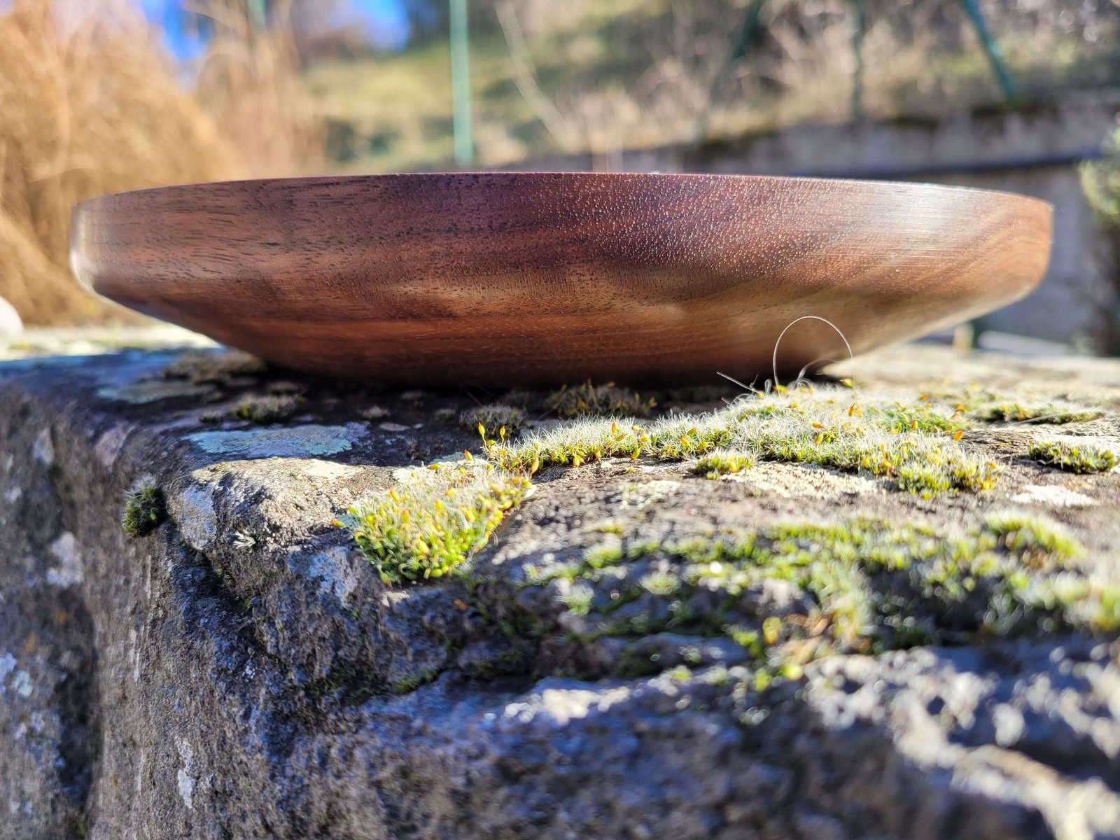 Assiette plate en noyer vue de côté