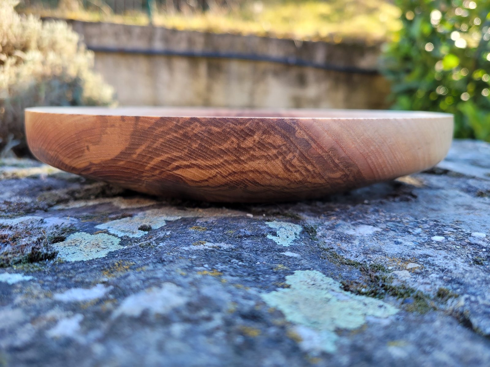 Photo assiette plate en frêne vue de côté